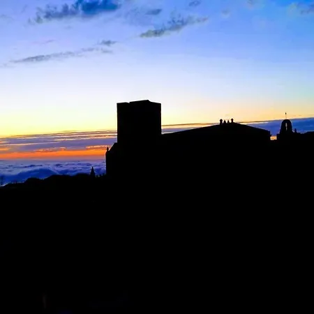 Elimo Erice