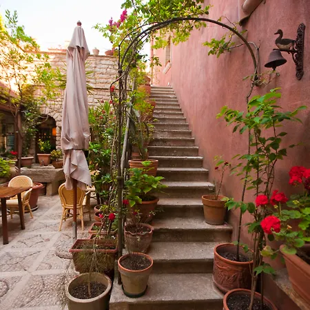 מלון Elimo אריצ'ה