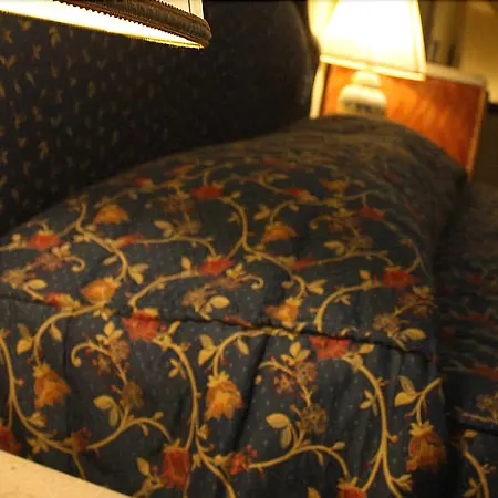 فندق Elimo إريس